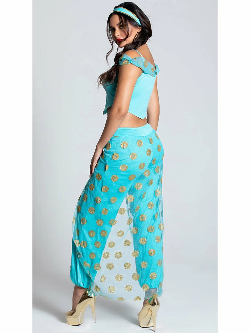 Dreamgirl Costumes Arabian Princess Womens Princess Jasmine Costume 4 Dreamgirl Costumes Arabian Princess Womens Princess Jasmine Costume